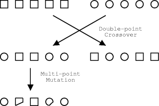 double-point mutation and crossover figure